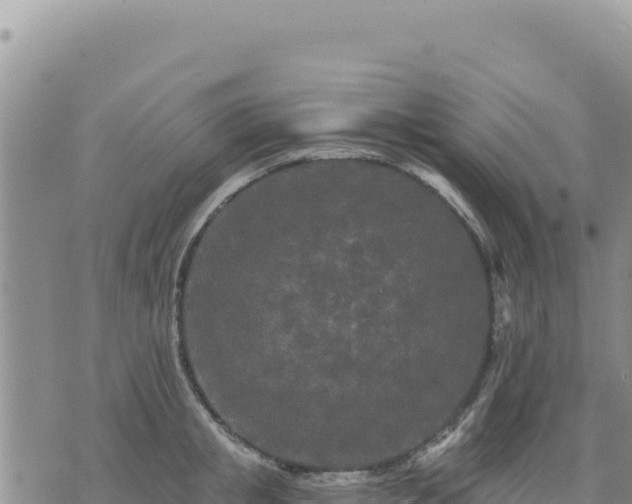 X0000073700853200608101812