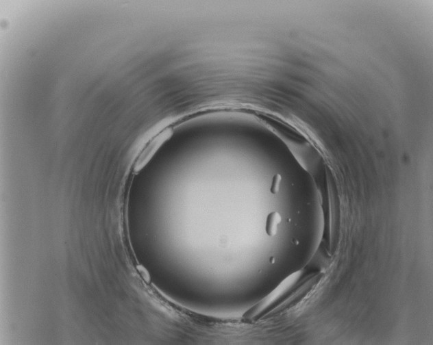 X0000073700854200608101812