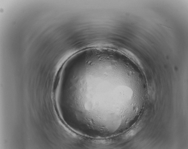 X0000073700855200608101812