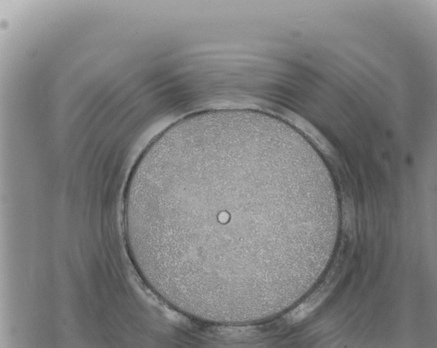 X0000073700856200608101812