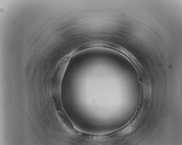 X0000073700857200608101812