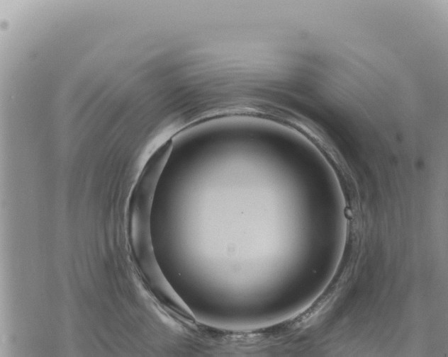 X0000073700858200608101812