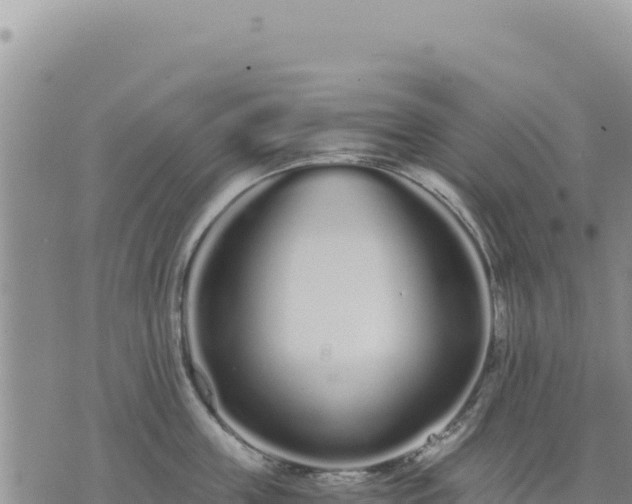 X0000073700859200608101812