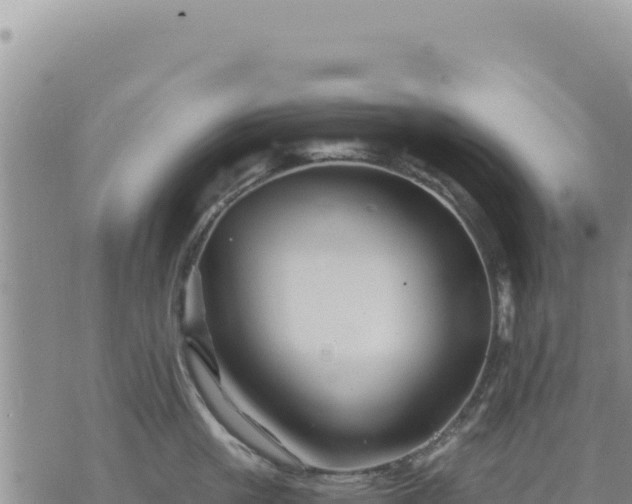 X0000073700861200608101812