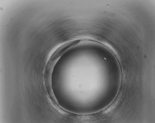 X0000073700862200608101812