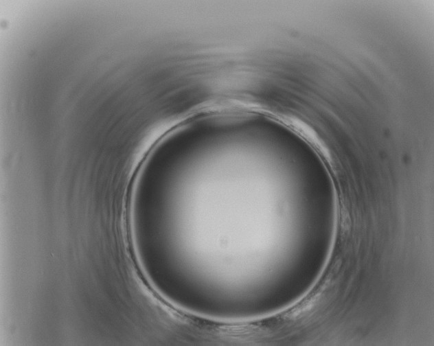 X0000073700863200608101812