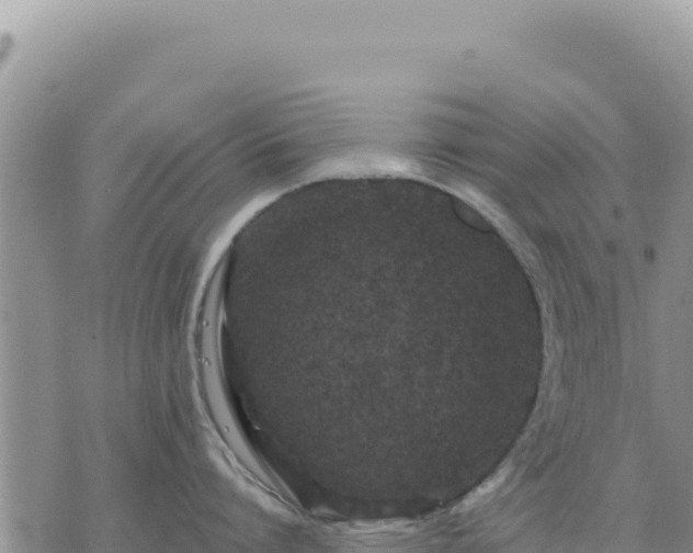 X0000073700864200608101812