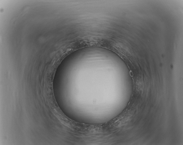 X0000073700865200608101811