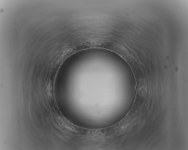 X0000073700866200608101811