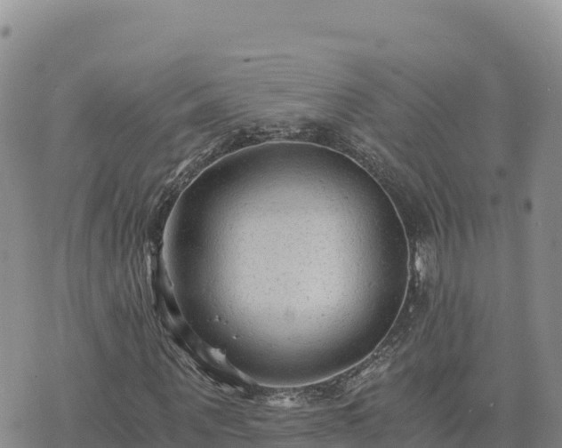 X0000073700867200608101811