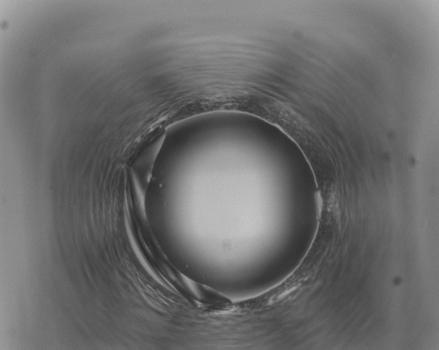 X0000073700868200608101811