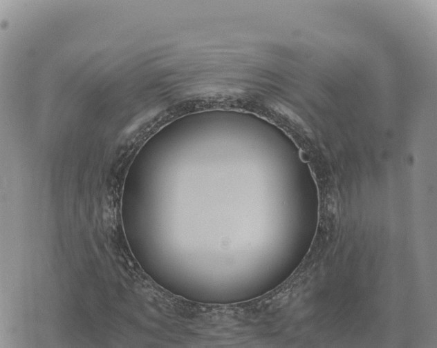 X0000073700869200608101811