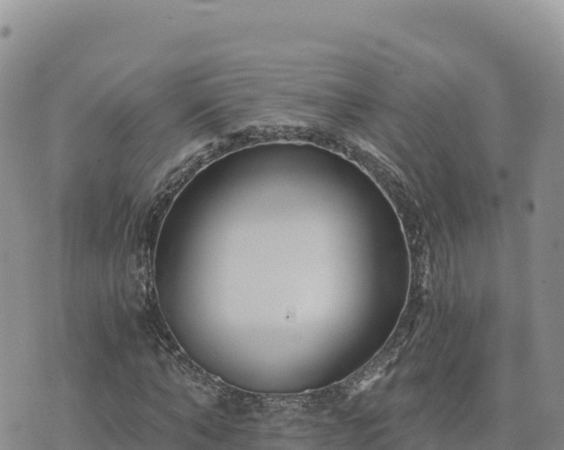 X0000073700870200608101811