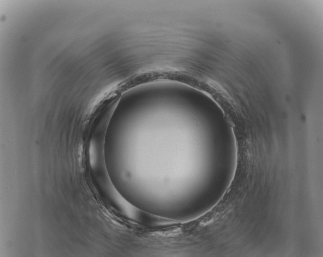 X0000073700872200608101811