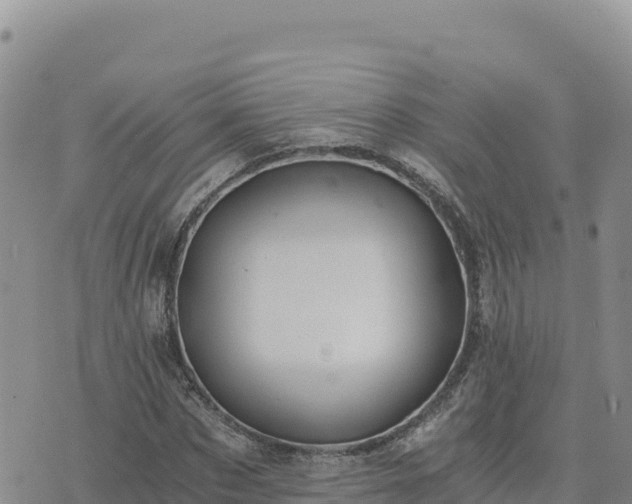 X0000073700873200608101811