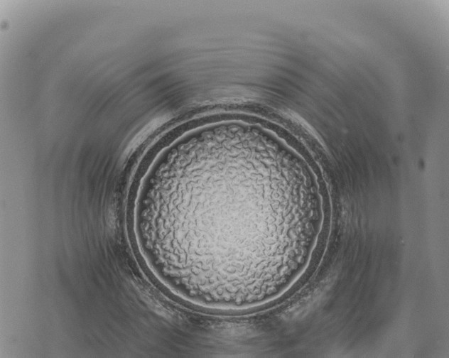 X0000073700874200608101811