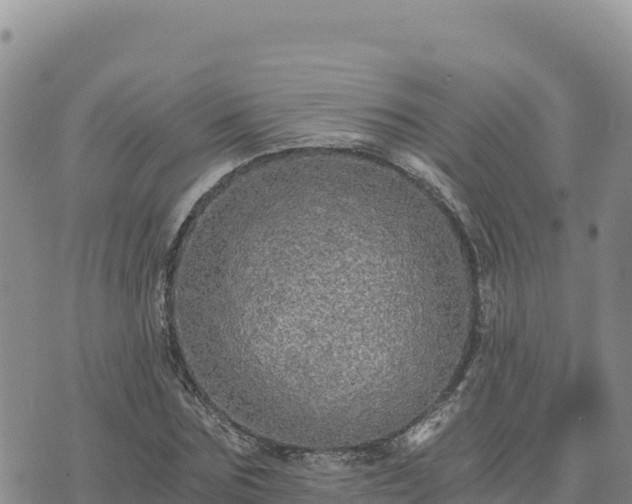 X0000073700875200608101811