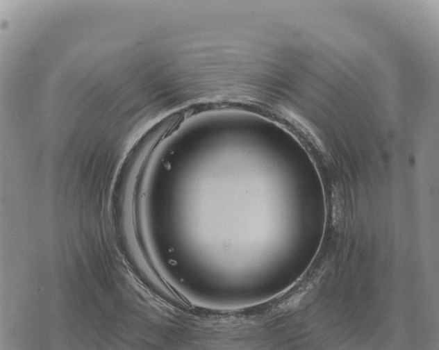 X0000073700876200608101811