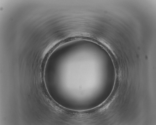 X0000073700877200608101811