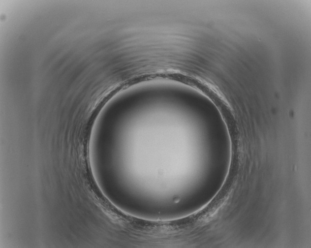 X0000073700881200608101811