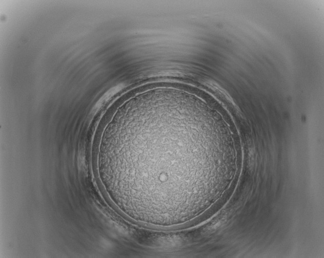 X0000073700882200608101811