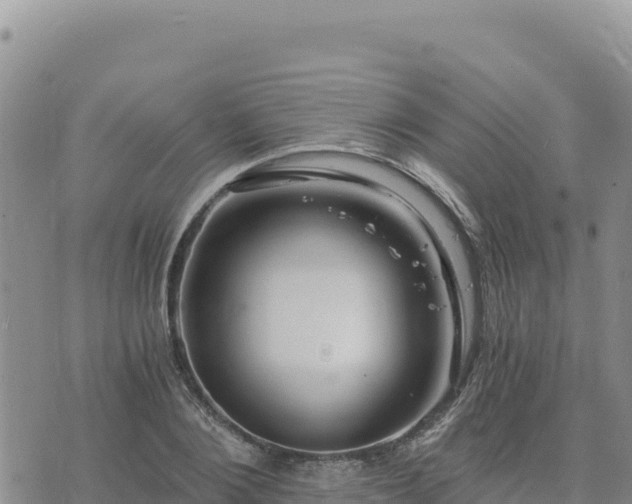 X0000073700884200608101811