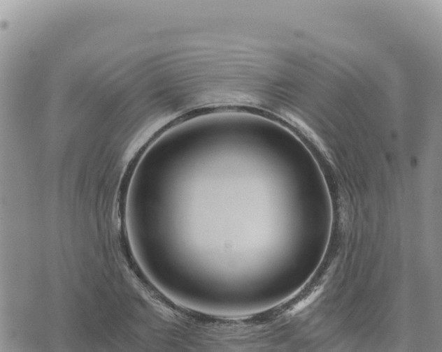 X0000073700885200608101811