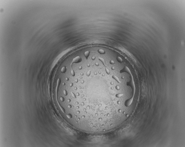 X0000073700886200608101811