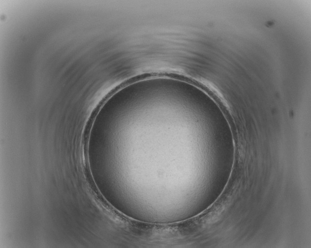 X0000073700887200608101811