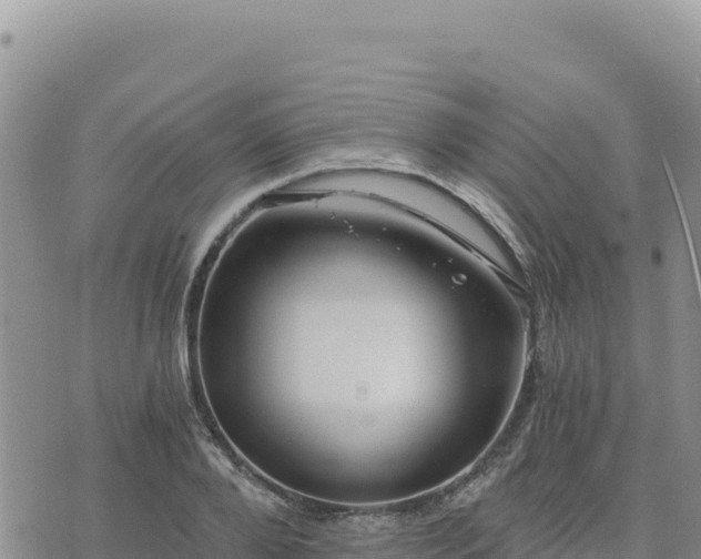 X0000073700888200608101811