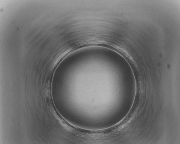 X0000073700889200608101810