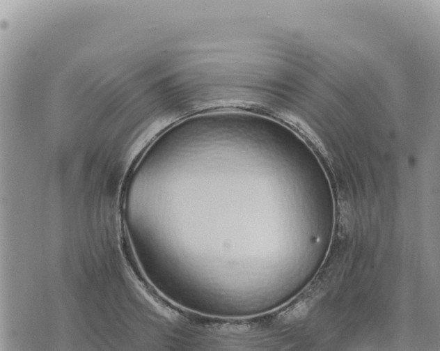 X0000073700890200608101810