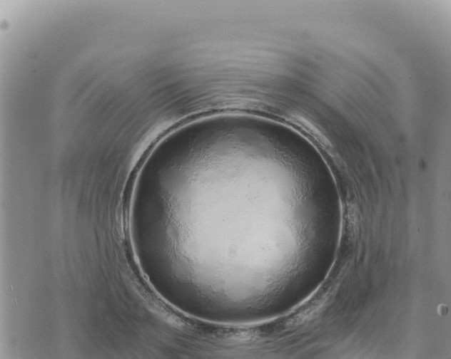 X0000073700891200608101810