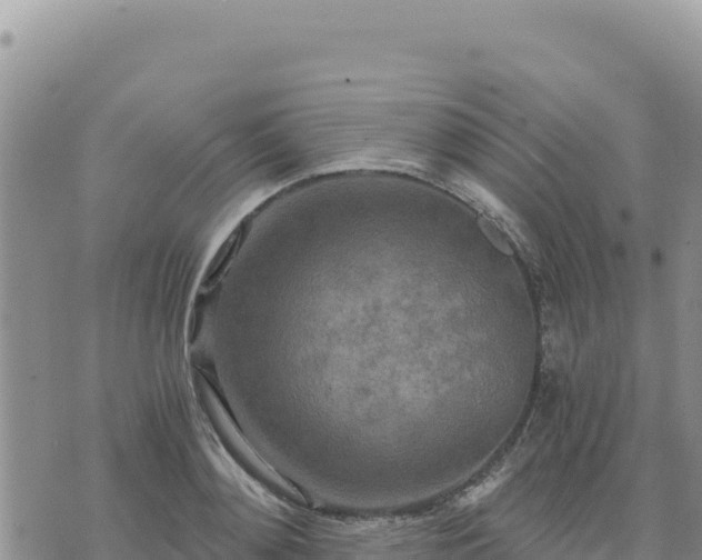 X0000073700892200608101810