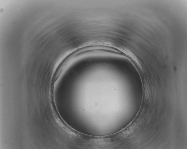 X0000073700896200608101810