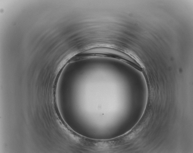 X0000073700898200608101810