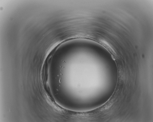 X0000073700900200608101810