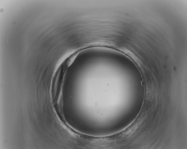 X0000073700902200608101810