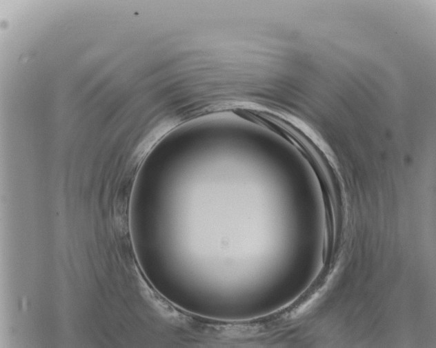 X0000073700905200608101810