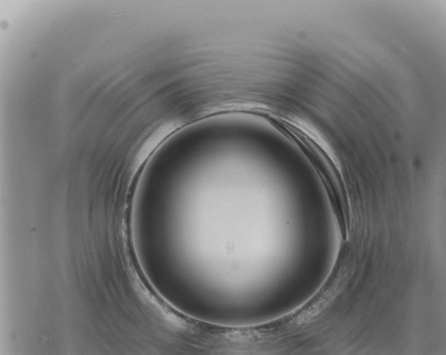 X0000073700906200608101810