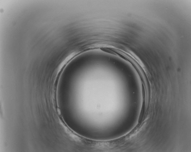 X0000073700909200608101810