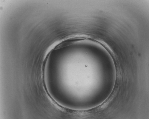 X0000073700910200608101810