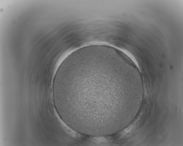 X0000073700911200608101810