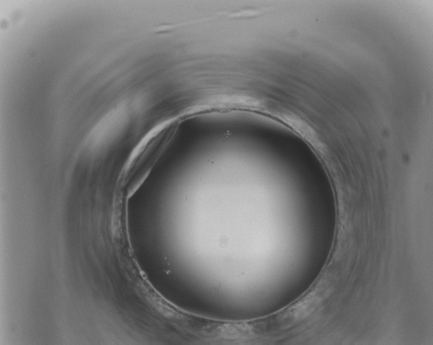 X0000073700912200608101810