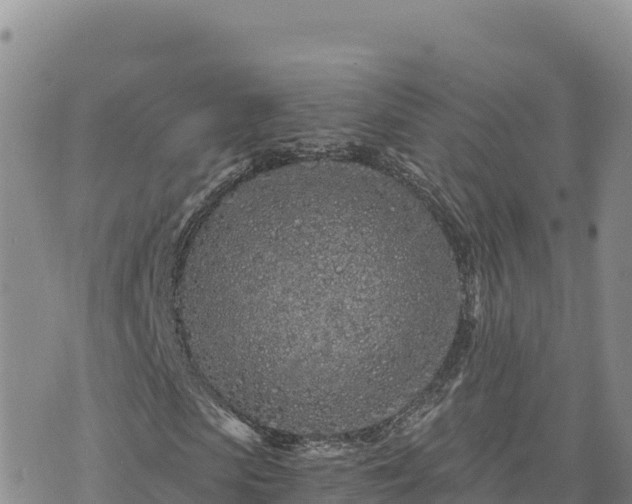 X0000073700913200608101809