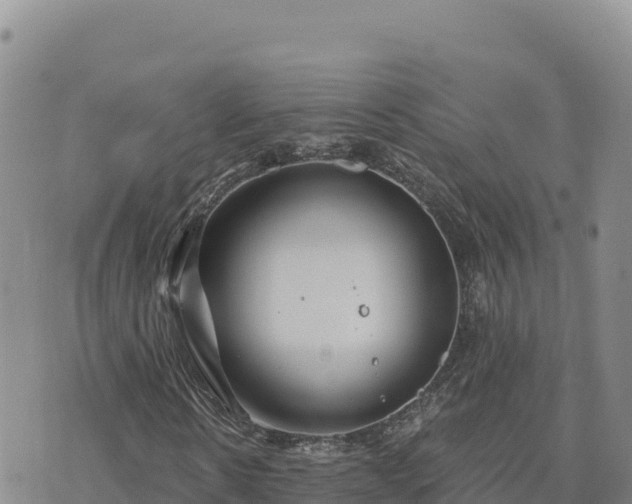 X0000073700914200608101809