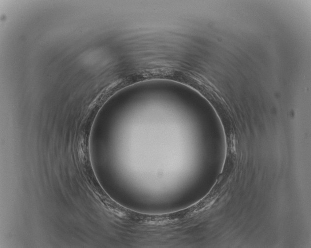 X0000073700915200608101809