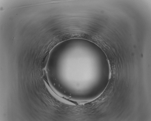 X0000073700916200608101809