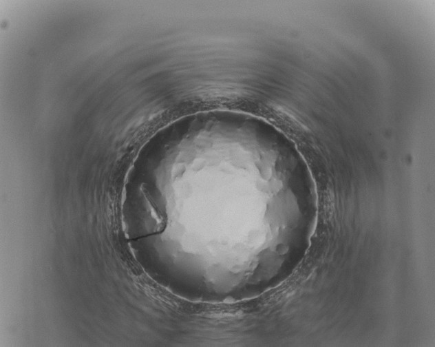 X0000073700917200608101809