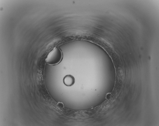 X0000073700918200608101809